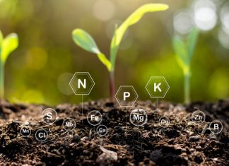 Can organic fertilizer replace chemical fertilizer?