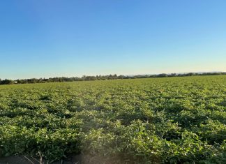 California Water Projects in Sustainable Agriculture