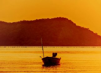 පංසලේ දිවා සුරැකීම