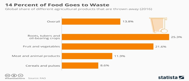 Improve infrastructure & Reduce Food Waste - High Rayz