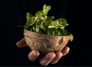 DECISION ON CHEMICAL VS ORGANIC?