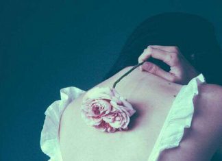 වැලන්ටයින් සෙවනේ හමුවෙවිද ආදරේ