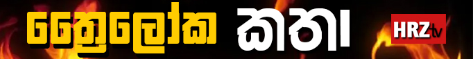 spot_img
