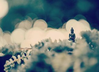 බුදු දහමේ ඉගැන්වෙන පටිච්ච සමුප්පාද න්යායෙන් හෙළි වන හේතු ඵල වාදය