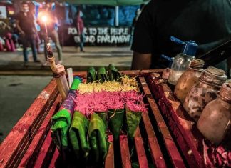 The Struggle of the Life