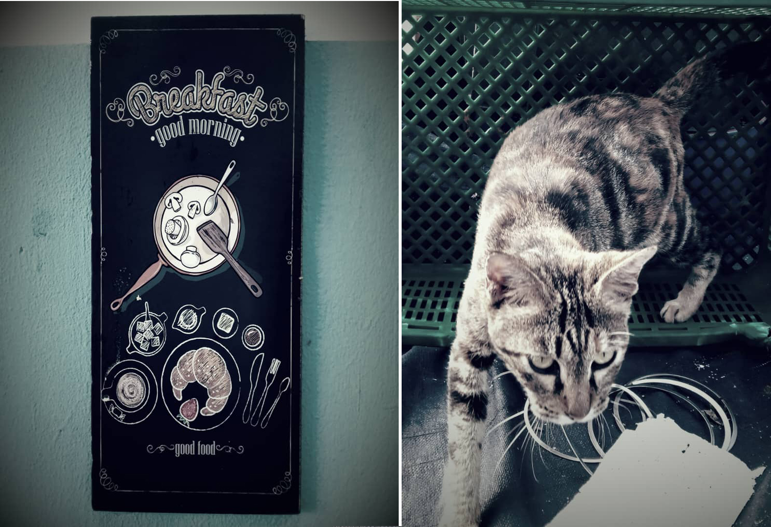 Brekfirst Good Morning