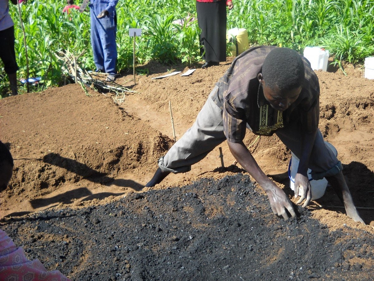 WHAT IS BIOCHAR?