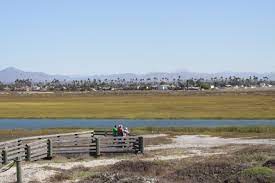 Managing a Large Marsh Land in California