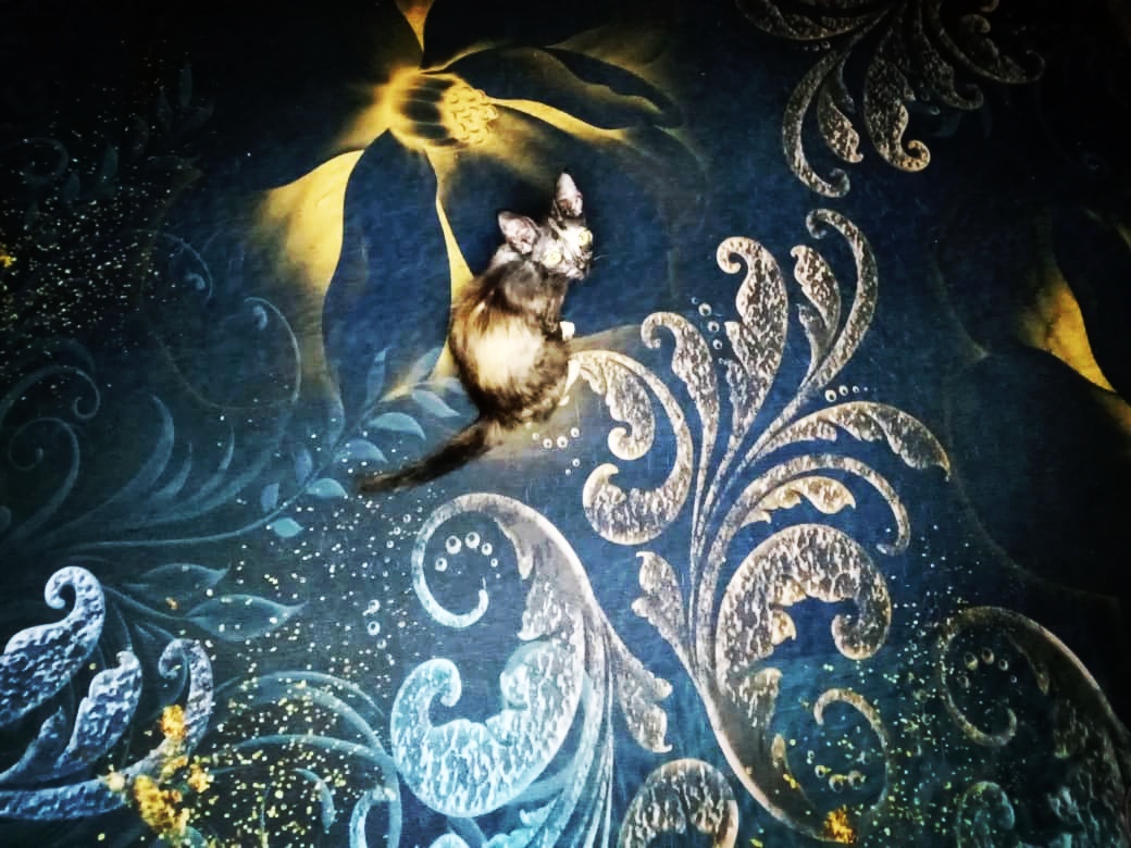 Tixi in the PANADORA