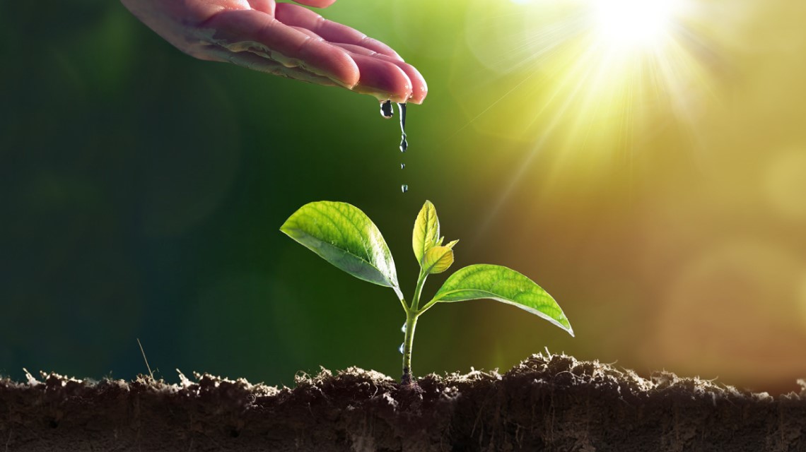 Biochar & Climate-Smart Agriculture (CSA)