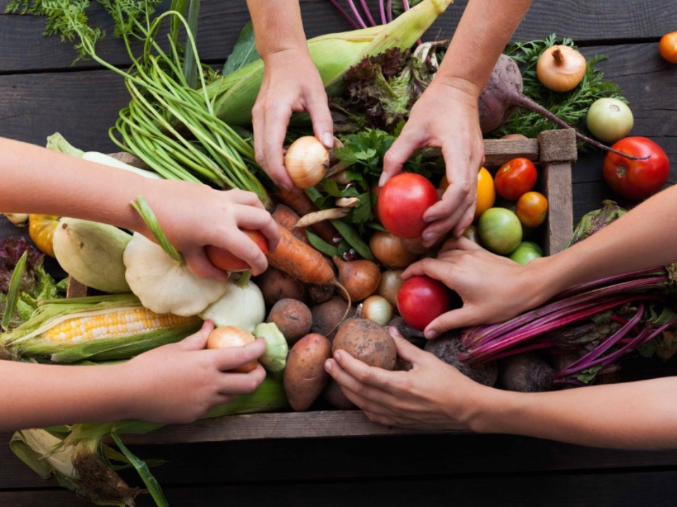 Local food systems matter for food security. “Buy local”