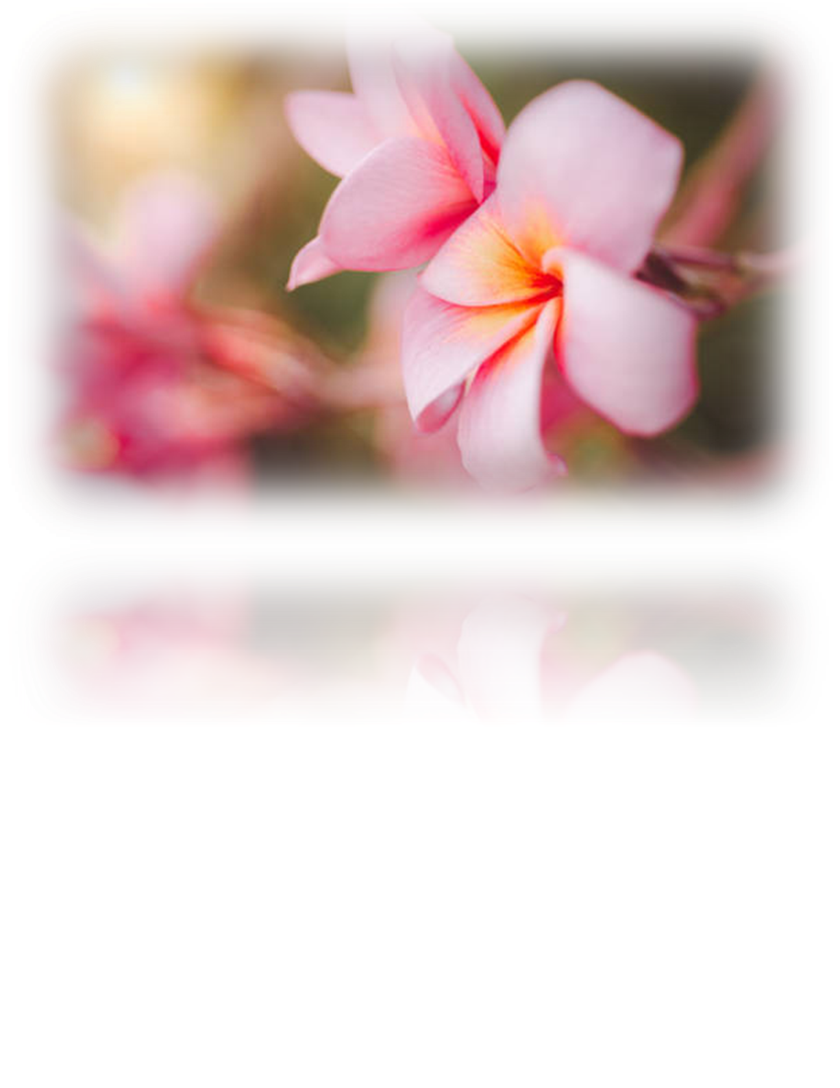 තනි නොතනියට… හැමදාම නුඹ ළඟ..