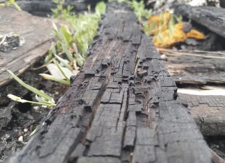 ලියන්නම් කවියක්