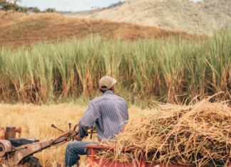 පාරිසරික ගොවිතැන