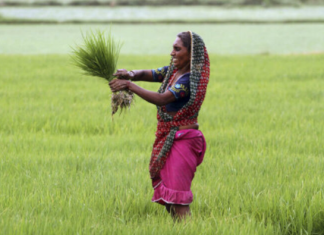 Are Women in South Asia more prone to the effects of Climate Change?