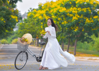 පාවඩ එලන සුරුවම්…