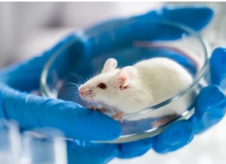 Drug Discovery and Development