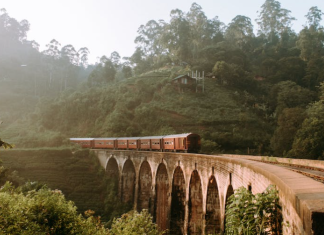 The Current Situation of Tourism Industry in Sri Lanka