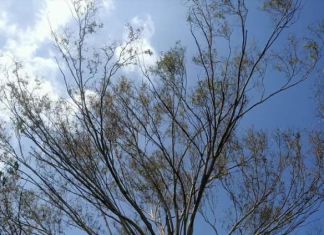 සැනසීම..