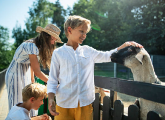 Farming for Profit: Exploring the Agritourism Advantage