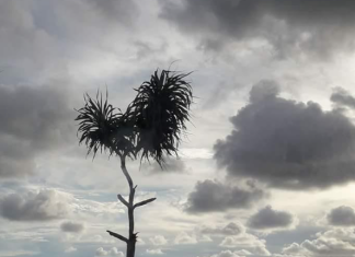 මෙපමණ බාධක…