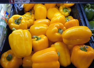 Colour Vegetable – BELL PEPPER