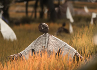 කෘෂි ආර්ථික විද්යාවේ මූලික කරුණු සහ ග්රාමීය සංවර්ධනයේ එහි කාර්යභාරය